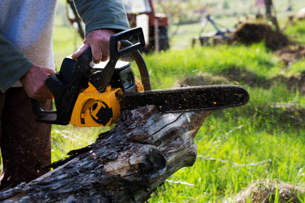 Best Tree Removal  in Fairland, MD