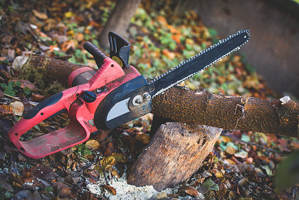 Best Tree Risk Assessment  in Fairland, MD
